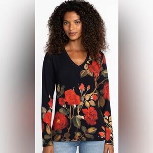 Johnny Was The Janie Favorite Long Sleeve V-Neck Tee Shirt Top Blouse Large